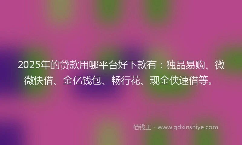 2025年的贷款用哪平台好下款有：独品易购、微微快借、金亿钱包、畅行花、现金侠速借等。