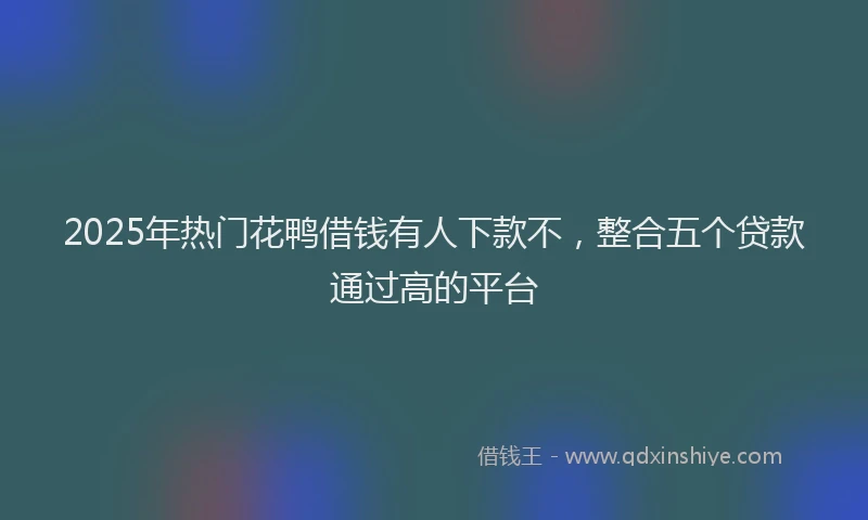 2025年热门花鸭借钱有人下款不，整合五个贷款通过高的平台