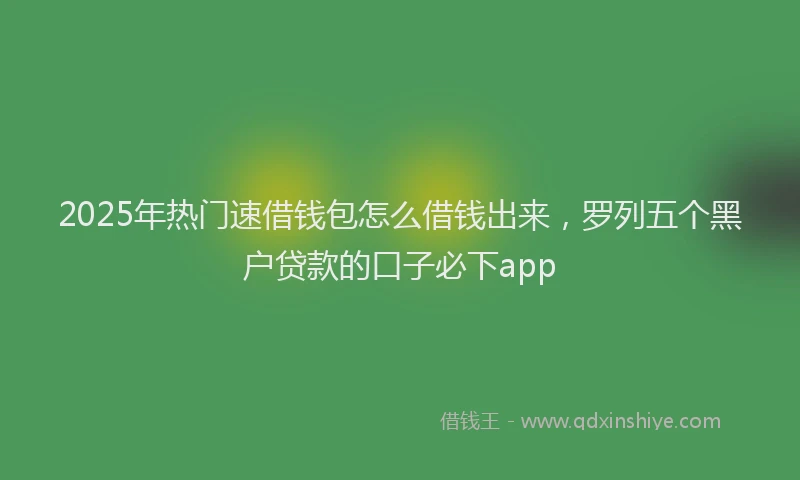 2025年热门速借钱包怎么借钱出来，罗列五个黑户贷款的口子必下app