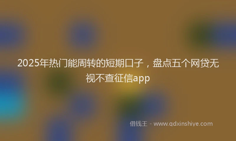 2025年热门能周转的短期口子，盘点五个网贷无视不查征信app