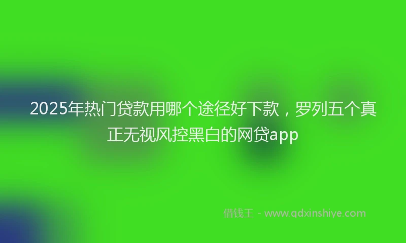 2025年热门贷款用哪个途径好下款，罗列五个真正无视风控黑白的网贷app