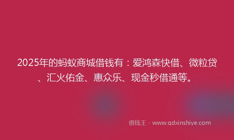 2025年的蚂蚁商城借钱有：爱鸿森快借、微粒贷、汇火佑金、惠众乐、现金秒借通等。