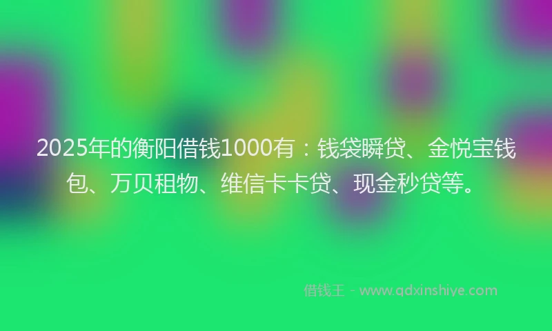 2025年的衡阳借钱1000有：钱袋瞬贷、金悦宝钱包、万贝租物、维信卡卡贷、现金秒贷等。