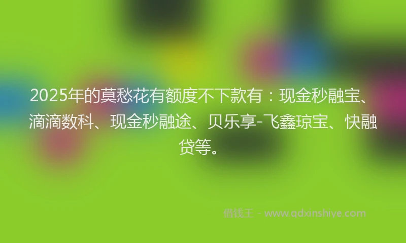 2025年的莫愁花有额度不下款有：现金秒融宝、滴滴数科、现金秒融途、贝乐享-飞鑫琼宝、快融贷等。