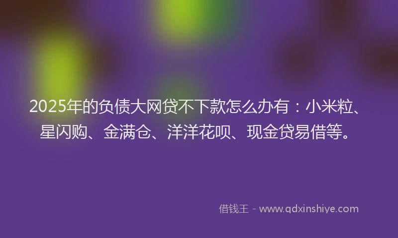 2025年的负债大网贷不下款怎么办有：小米粒、星闪购、金满仓、洋洋花呗、现金贷易借等。