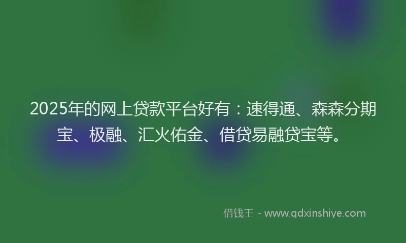 2025年的网上贷款平台好有：速得通、森森分期宝、极融、汇火佑金、借贷易融贷宝等。