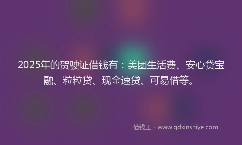 2025年的贺驶证借钱有：美团生活费、安心贷宝融、粒粒贷、现金速贷、可易借等。