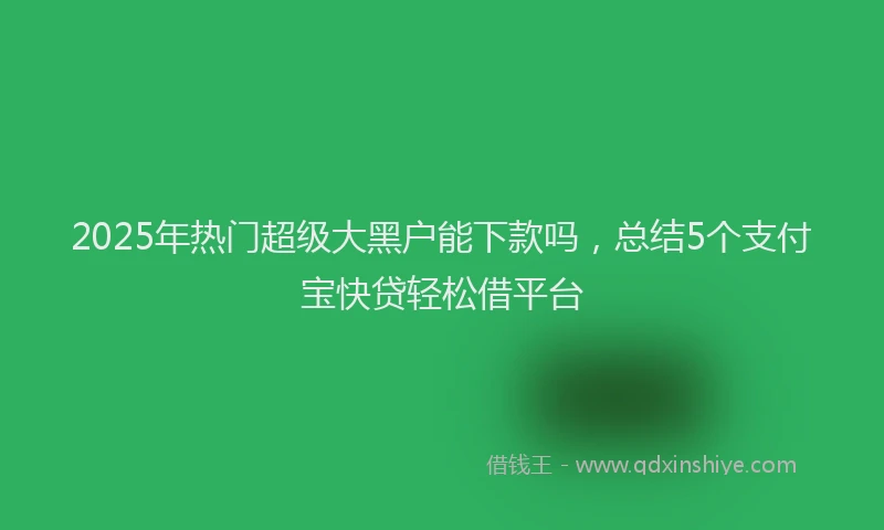 2025年热门超级大黑户能下款吗，总结5个支付宝快贷轻松借平台