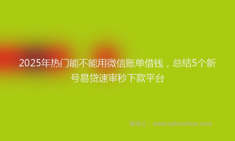 2025年热门能不能用微信账单借钱，总结5个新号易贷速审秒下款平台