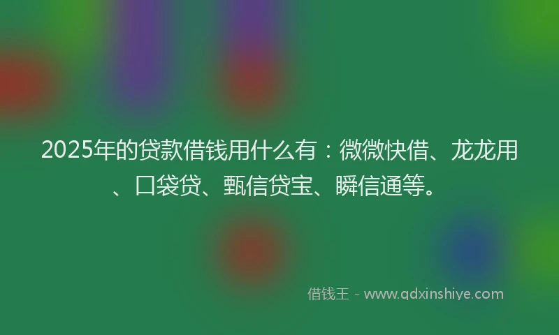 2025年的贷款借钱用什么有：微微快借、龙龙用、口袋贷、甄信贷宝、瞬信通等。