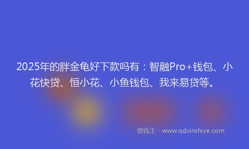 2025年的胖金龟好下款吗有：智融Pro+钱包、小花快贷、恒小花、小鱼钱包、我来易贷等。