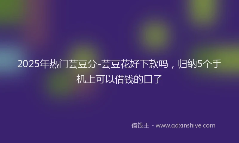 2025年热门芸豆分-芸豆花好下款吗，归纳5个手机上可以借钱的口子