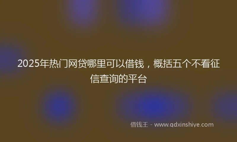 2025年热门网贷哪里可以借钱，概括五个不看征信查询的平台