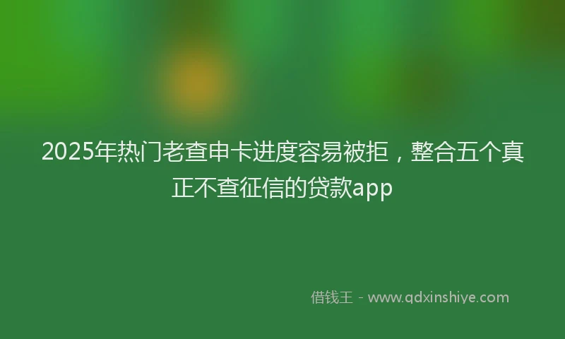 2025年热门老查申卡进度容易被拒，整合五个真正不查征信的贷款app
