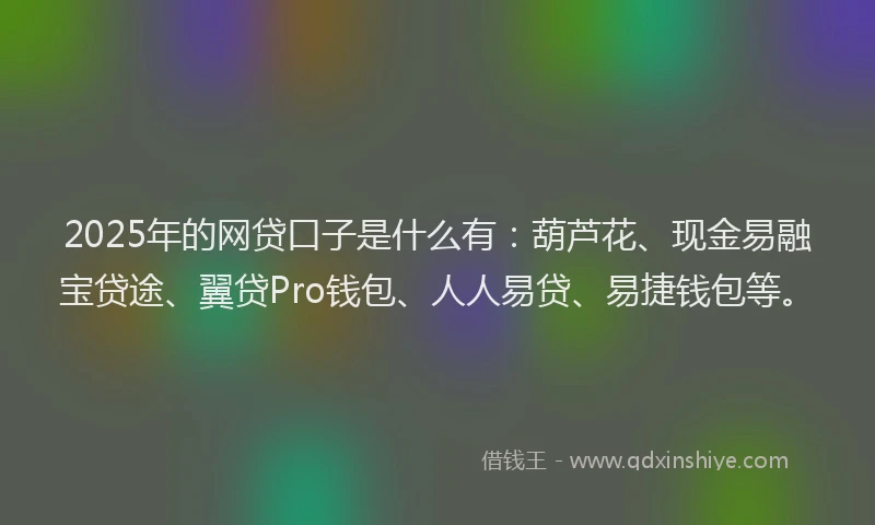 2025年的网贷口子是什么有：葫芦花、现金易融宝贷途、翼贷Pro钱包、人人易贷、易捷钱包等。