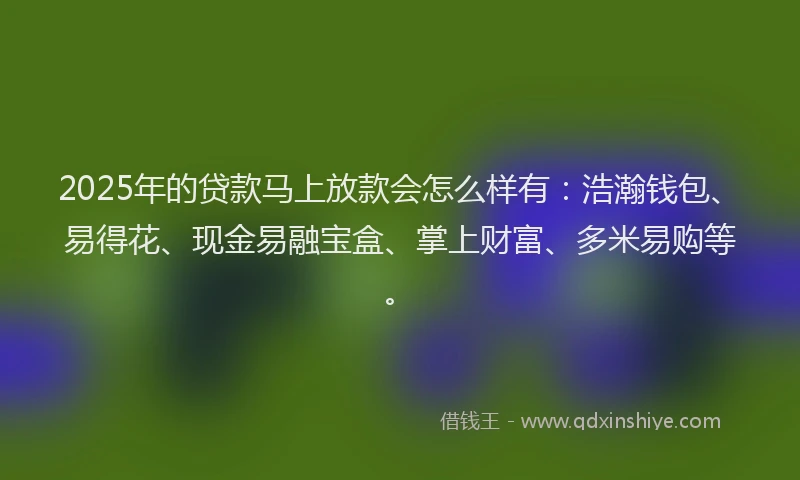 2025年的贷款马上放款会怎么样有：浩瀚钱包、易得花、现金易融宝盒、掌上财富、多米易购等。