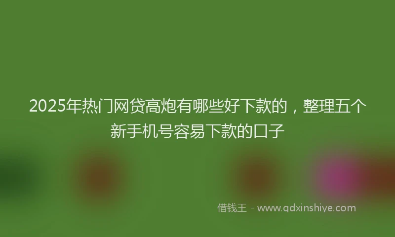 2025年热门网贷高炮有哪些好下款的，整理五个新手机号容易下款的口子