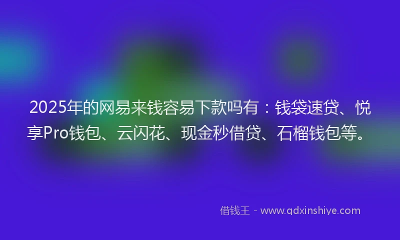 2025年的网易来钱容易下款吗有：钱袋速贷、悦享Pro钱包、云闪花、现金秒借贷、石榴钱包等。