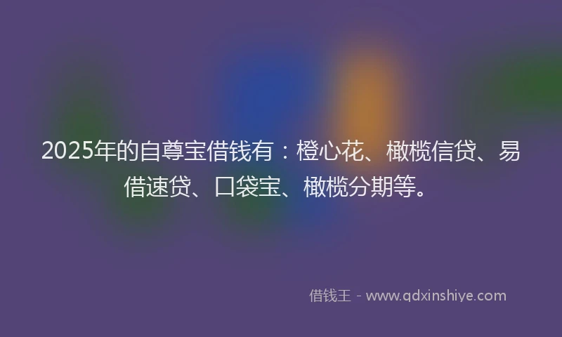 2025年的自尊宝借钱有：橙心花、橄榄信贷、易借速贷、口袋宝、橄榄分期等。
