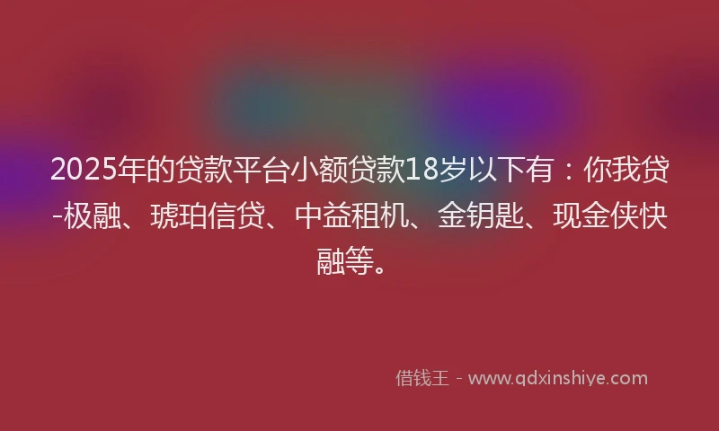 2025年的贷款平台小额贷款18岁以下有：你我贷-极融、琥珀信贷、中益租机、金钥匙、现金侠快融等。