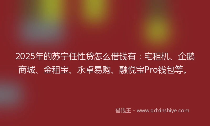 2025年的苏宁任性贷怎么借钱有：宅租机、企鹅商城、金租宝、永卓易购、融悦宝Pro钱包等。