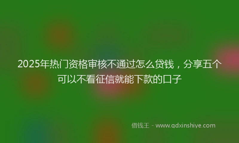 2025年热门资格审核不通过怎么贷钱，分享五个可以不看征信就能下款的口子