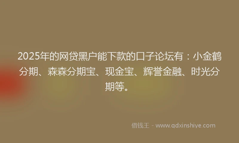 2025年的网贷黑户能下款的口子论坛有：小金鹤分期、森森分期宝、现金宝、辉誉金融、时光分期等。