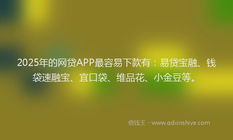 2025年的网贷APP最容易下款有：易贷宝融、钱袋速融宝、宜口袋、维品花、小金豆等。