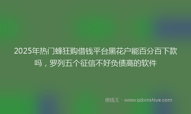 2025年热门蜂狂购借钱平台黑花户能百分百下款吗，罗列五个征信不好负债高的软件