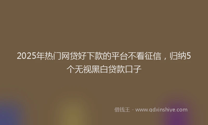 2025年热门网贷好下款的平台不看征信，归纳5个无视黑白贷款口子