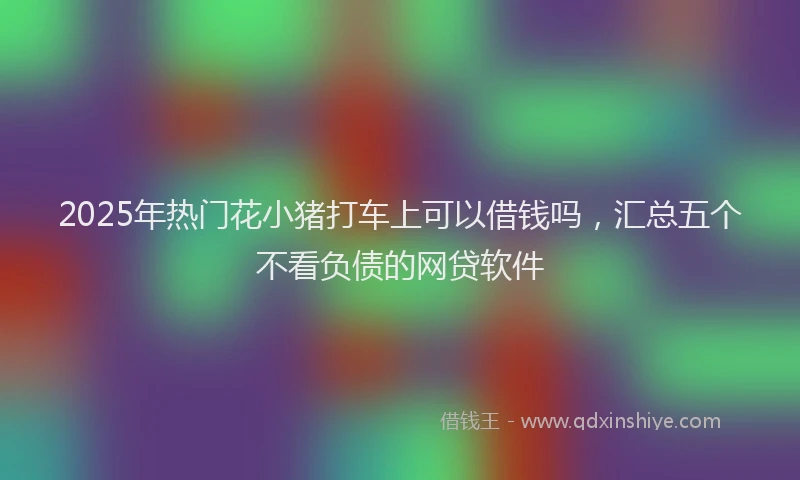 2025年热门花小猪打车上可以借钱吗，汇总五个不看负债的网贷软件