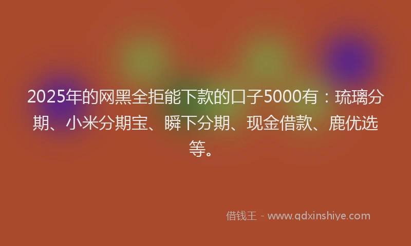 2025年的网黑全拒能下款的口子5000有：琉璃分期、小米分期宝、瞬下分期、现金借款、鹿优选等。