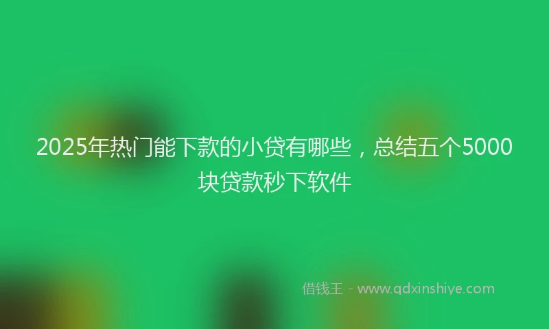 2025年热门能下款的小贷有哪些，总结五个5000块贷款秒下软件