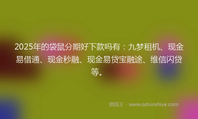 2025年的袋鼠分期好下款吗有：九梦租机、现金易借通、现金秒融、现金易贷宝融途、维信闪贷等。