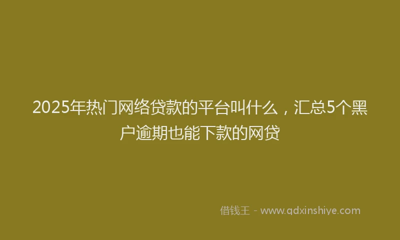 2025年热门网络贷款的平台叫什么，汇总5个黑户逾期也能下款的网贷