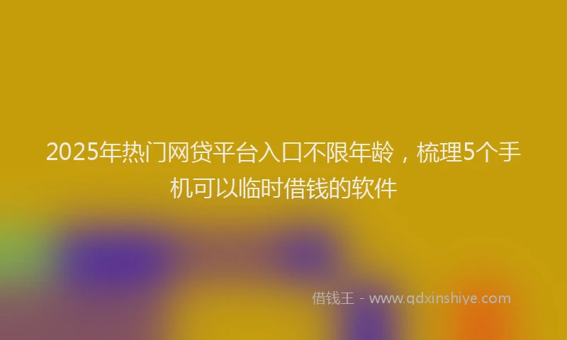 2025年热门网贷平台入口不限年龄，梳理5个手机可以临时借钱的软件