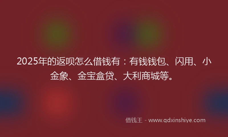 2025年的返呗怎么借钱有：有钱钱包、闪用、小金象、金宝盒贷、大利商城等。