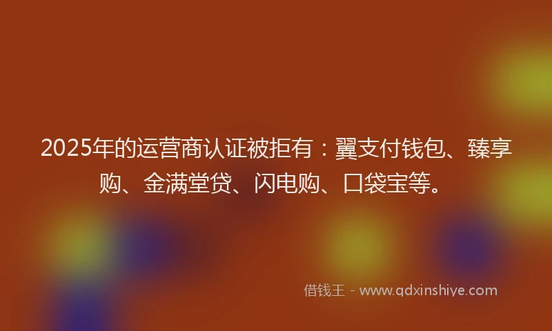 2025年的运营商认证被拒有：翼支付钱包、臻享购、金满堂贷、闪电购、口袋宝等。