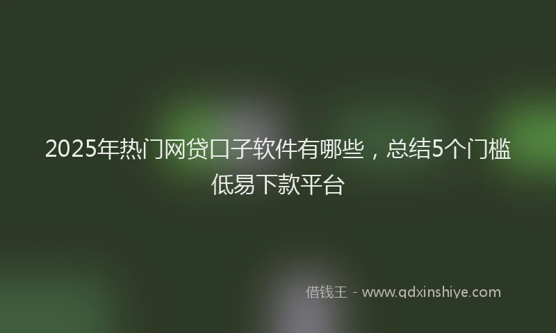 2025年热门网贷口子软件有哪些，总结5个门槛低易下款平台