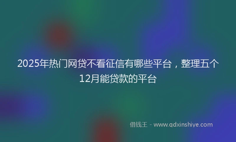 2025年热门网贷不看征信有哪些平台，整理五个12月能贷款的平台