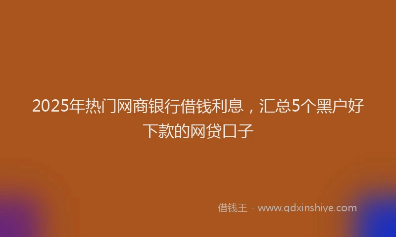 2025年热门网商银行借钱利息，汇总5个黑户好下款的网贷口子