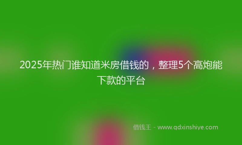 2025年热门谁知道米房借钱的，整理5个高炮能下款的平台