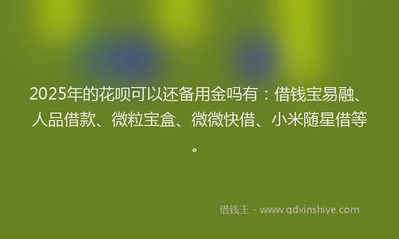2025年的花呗可以还备用金吗有：借钱宝易融、人品借款、微粒宝盒、微微快借、小米随星借等。