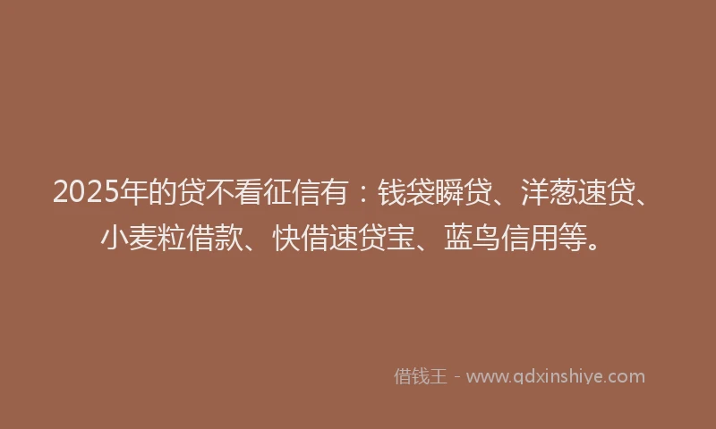 2025年的贷不看征信有：钱袋瞬贷、洋葱速贷、小麦粒借款、快借速贷宝、蓝鸟信用等。