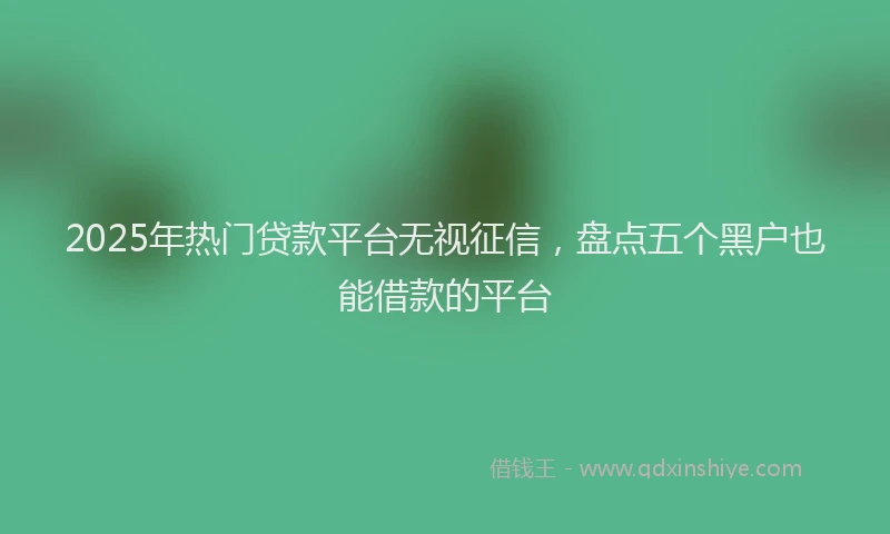 2025年热门贷款平台无视征信，盘点五个黑户也能借款的平台