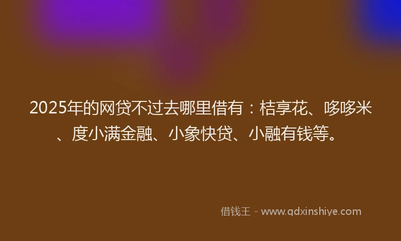 2025年的网贷不过去哪里借有：桔享花、哆哆米、度小满金融、小象快贷、小融有钱等。