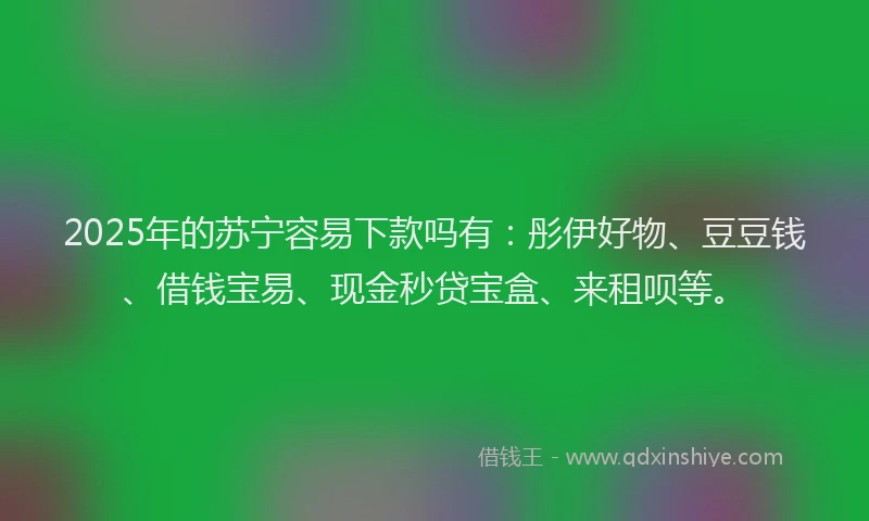 2025年的苏宁容易下款吗有：彤伊好物、豆豆钱、借钱宝易、现金秒贷宝盒、来租呗等。