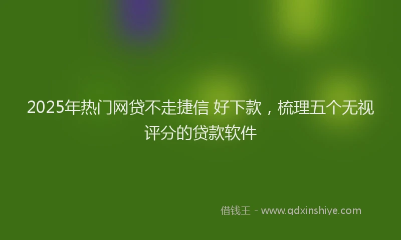 2025年热门网贷不走捷信 好下款，梳理五个无视评分的贷款软件