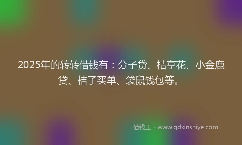 2025年的转转借钱有：分子贷、桔享花、小金鹿贷、桔子买单、袋鼠钱包等。