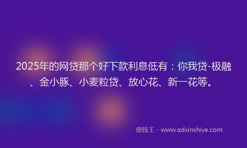 2025年的网贷那个好下款利息低有：你我贷-极融、金小豚、小麦粒贷、放心花、新一花等。